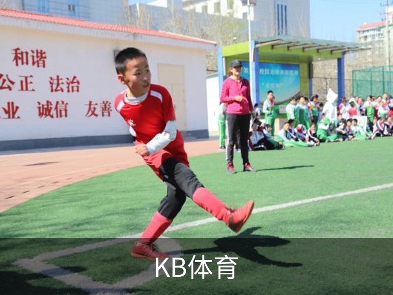 KB体育概况